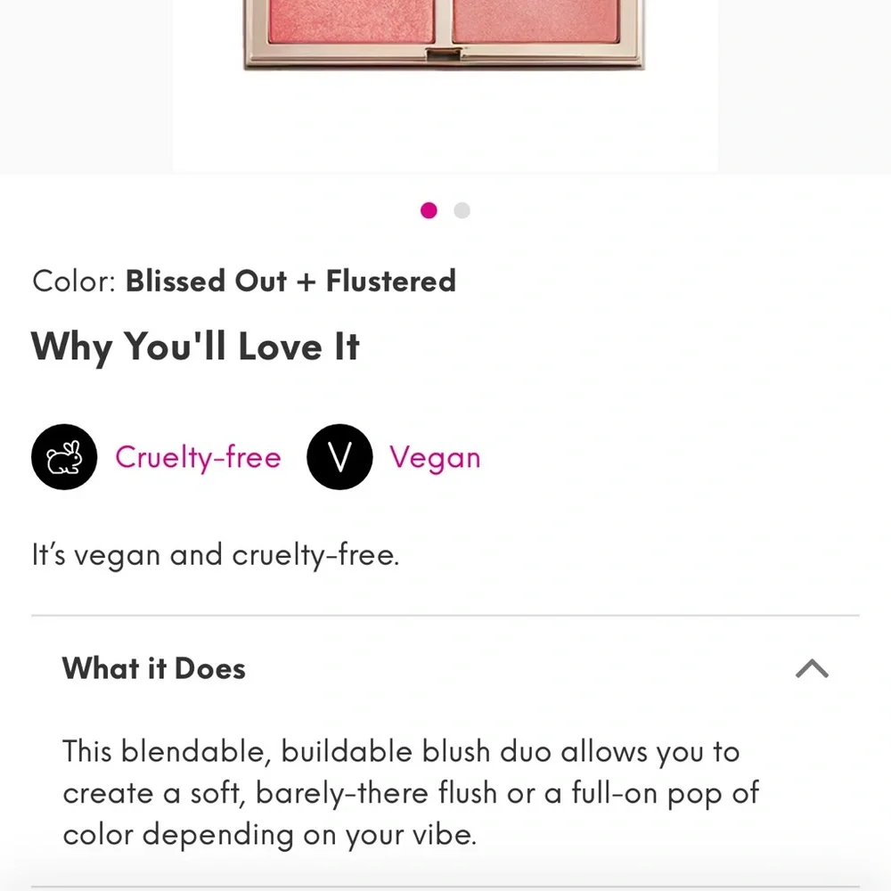 NWT Ipsy Complex Culture Blush Duo